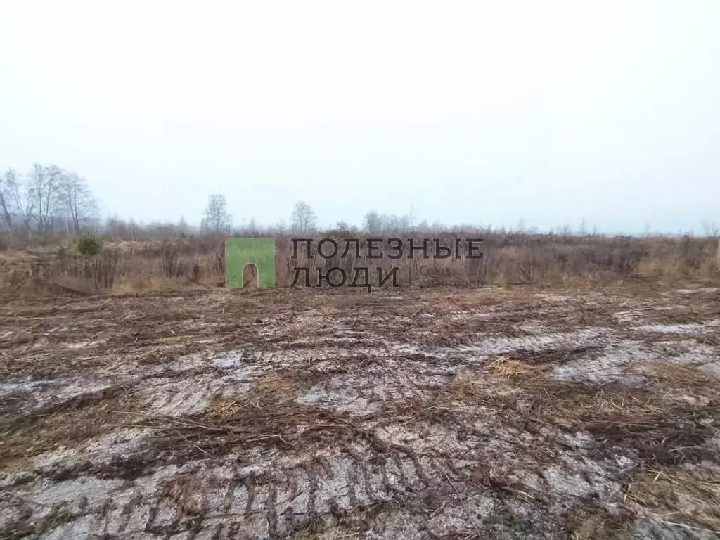 Участок в Орловская область, Орловский муниципальный округ, д. ... - Фото 1