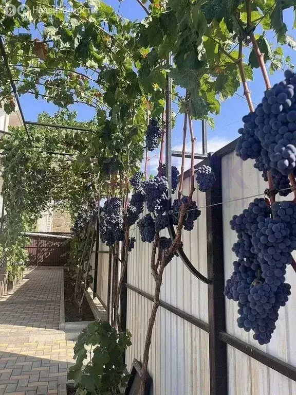 Дом в Республика Крым, муниципальный округ Судак, село Морское (400 м) - Фото 1