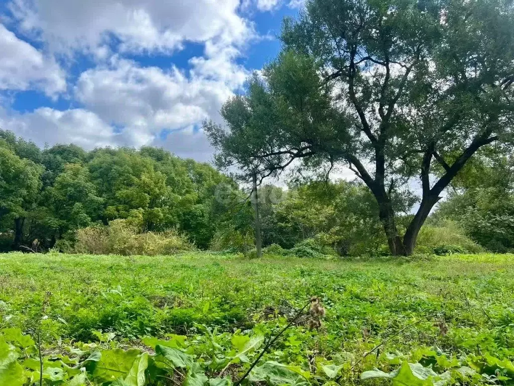 Участок в Приморский край, Владивосток Чайка мкр,  (17.0 сот.) - Фото 1