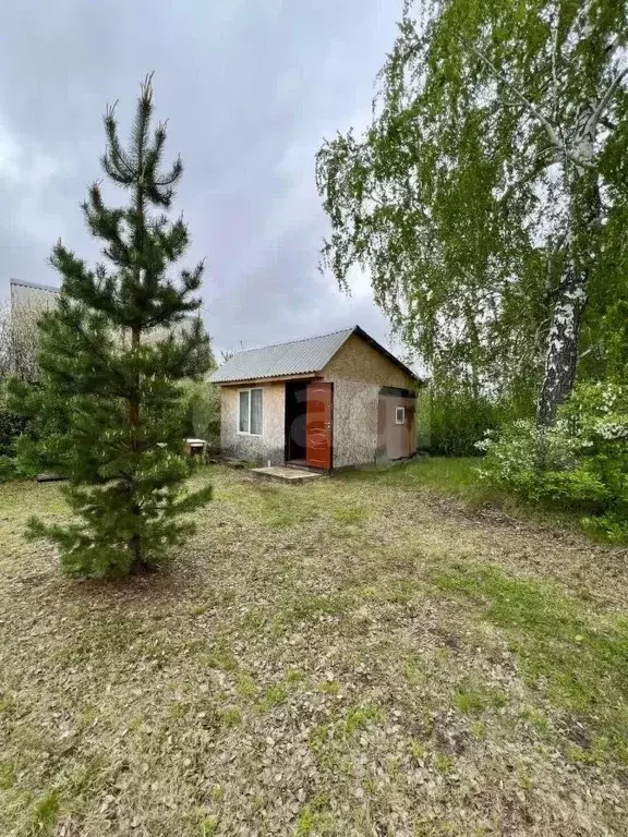 Участок в Курганская область, Кетовский муниципальный округ, Надежда ... - Фото 1