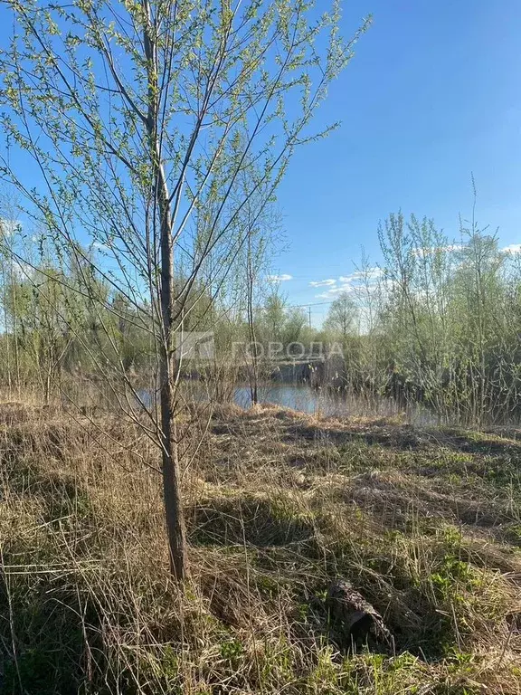 Участок 5 сот. (СНТ, ДНП) - Фото 1