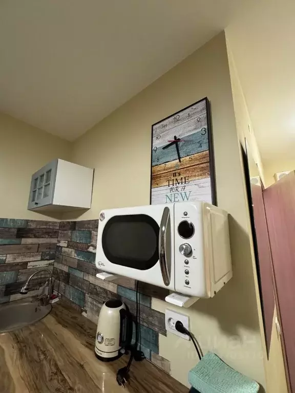 Студия Санкт-Петербург пос. Парголово, проезд Толубеевский, 8к2 (25.0 ... - Фото 1