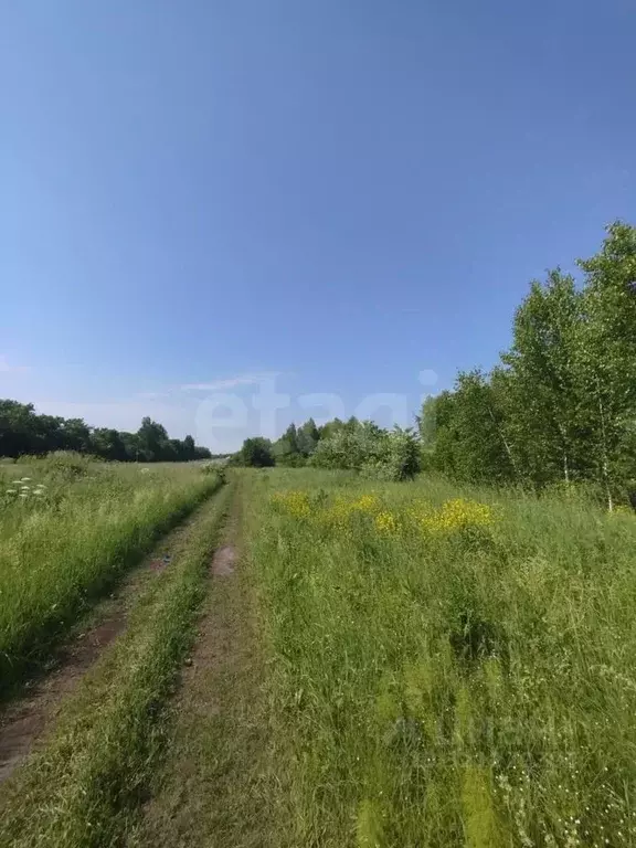 Участок в Кемеровская область, Кемерово Журавлевская ул. (15.0 сот.) - Фото 2