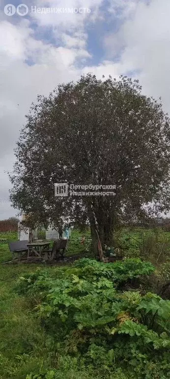 Участок в деревня Большая Вруда, Тенистая улица (50 м) - Фото 1