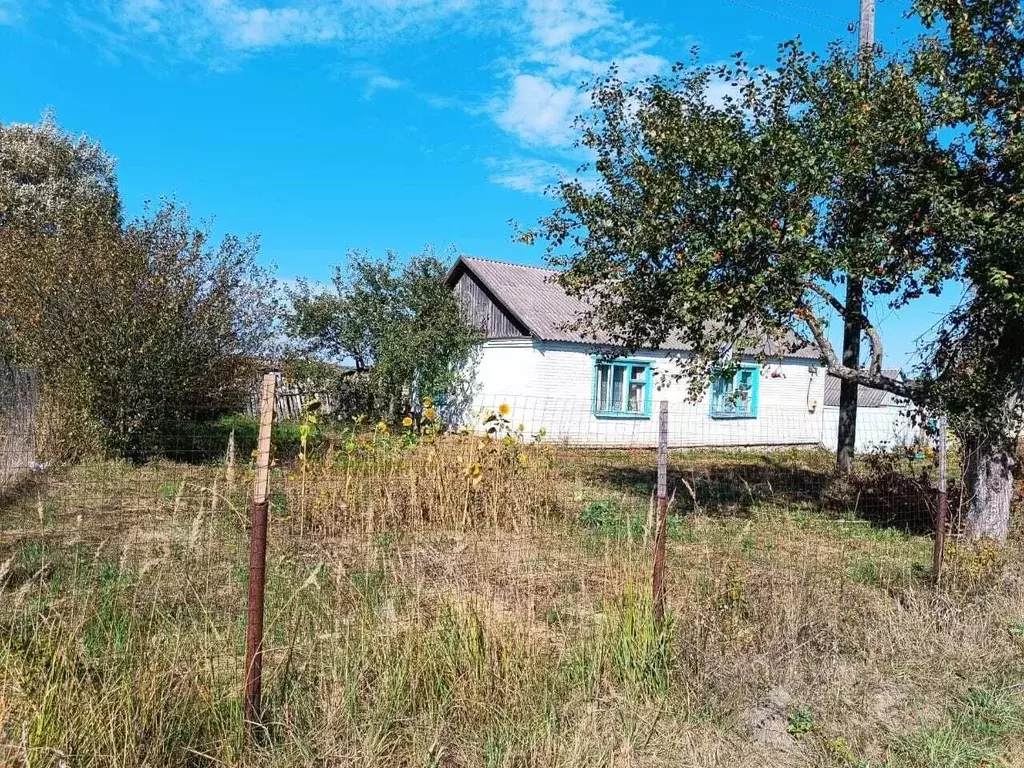 Дом в Орловская область, Троснянское с/пос, д. Игинка 27 (60 м) - Фото 1