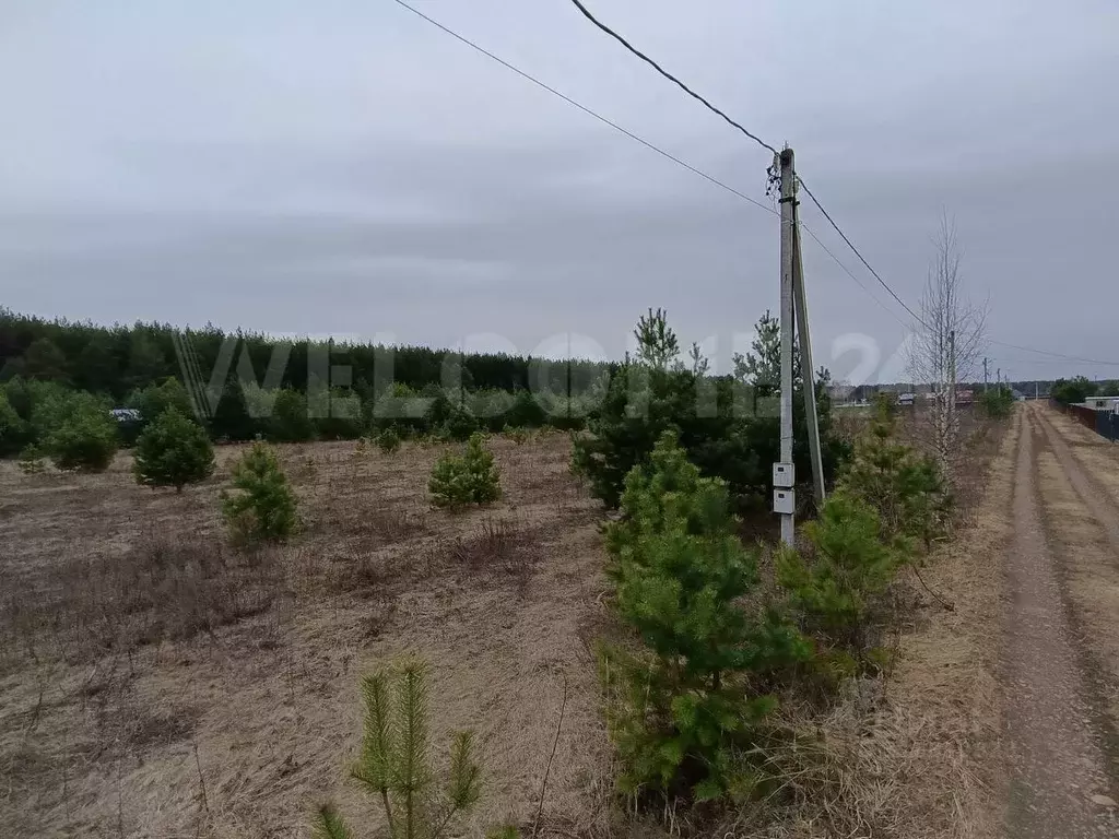 Участок в Владимирская область, Киржачский район, Филипповское ... - Фото 2