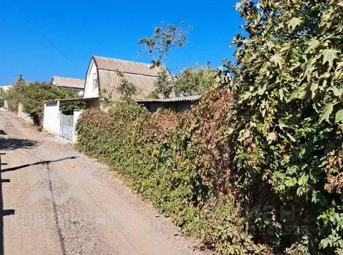 Участок в Крым, Черноморское пгт, Олимп СНТ 6 (4.7 сот.) - Фото 2