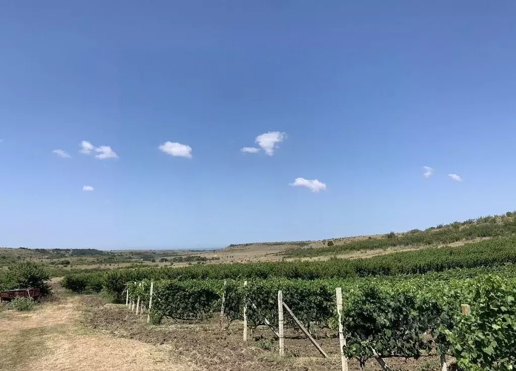 Участок, 48000 сот., сельхоз (снт или днп) - Фото 0