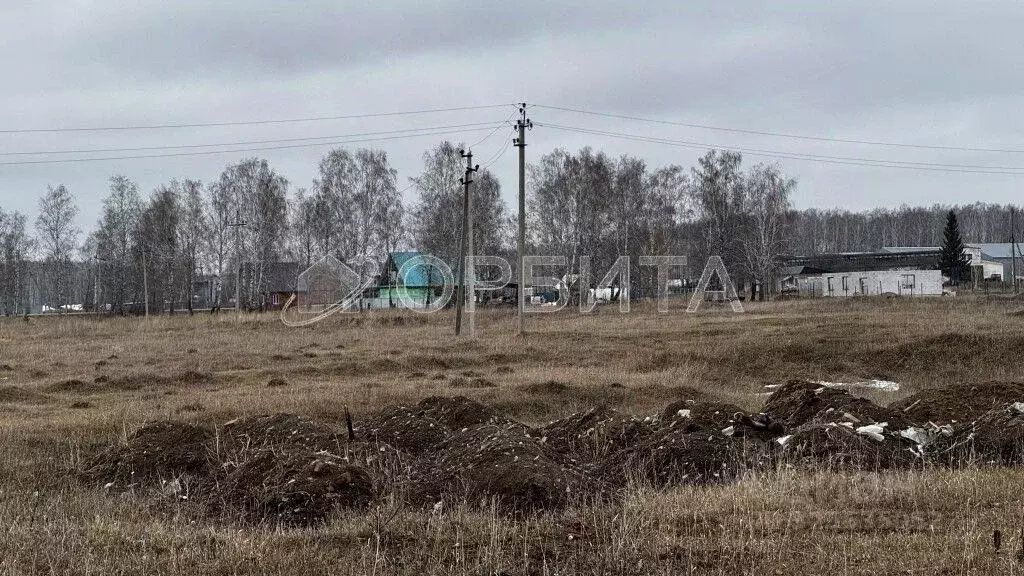 Участок в Свердловская область, Тугулымский муниципальный округ, с. ... - Фото 2