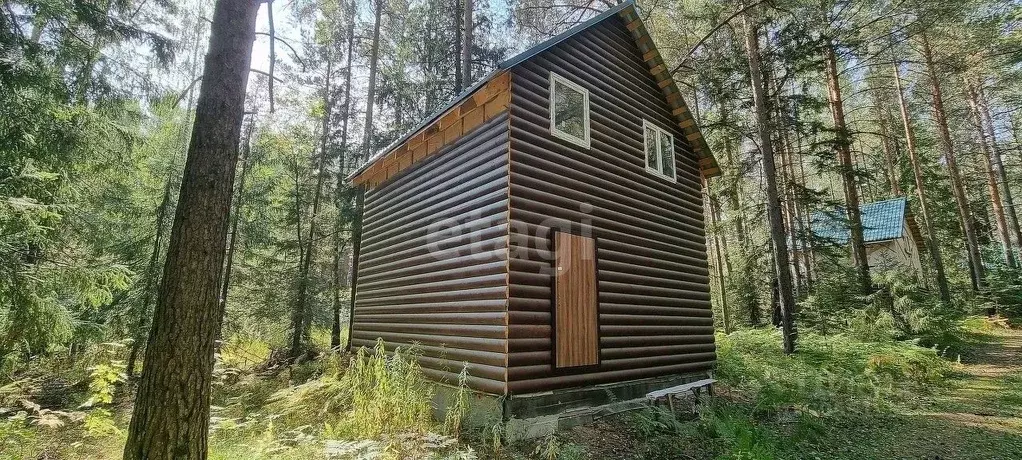 Дом в Свердловская область, Дегтярск ул. Виноградная, 9 (51 м) - Фото 0