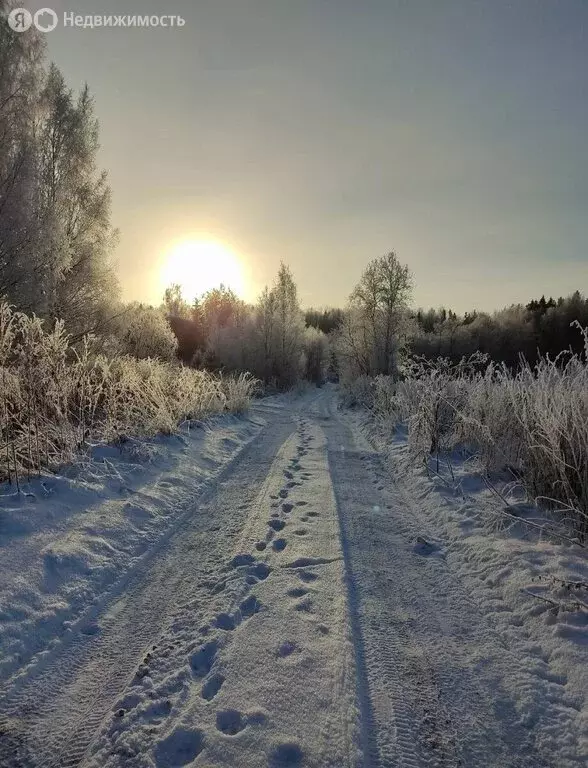 Участок в Любанское городское поселение, урочище Смердыня, 78 (140 м) - Фото 1