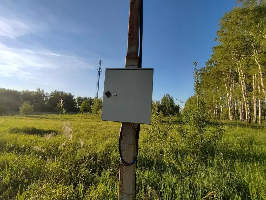 Участок в Нижегородская область, Нижний Новгород д. Новоликеево, ул. ... - Фото 2