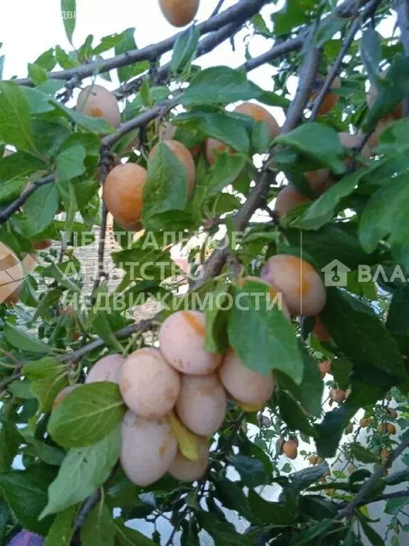 Дом в Рязанская область, рабочий посёлок Сапожок, Пушкарская улица, 94 ... - Фото 2