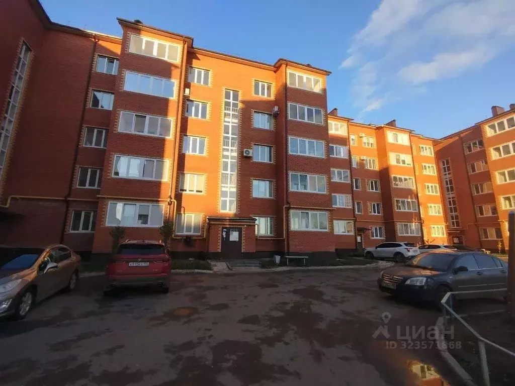 2-к кв. Оренбургская область, Бузулук ул. Фрунзе (56.7 м) - Фото 2