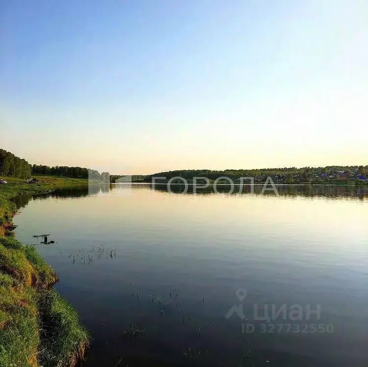 Участок в Новосибирская область, Мошковский район, с. Барлак  (10.0 ... - Фото 1