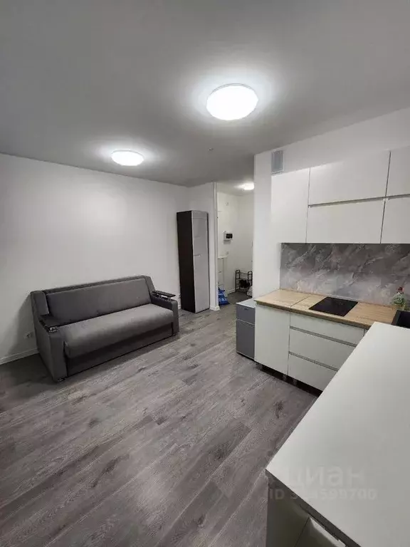 Студия Ленинградская область, Всеволожский район, пос. Бугры ул. ... - Фото 1