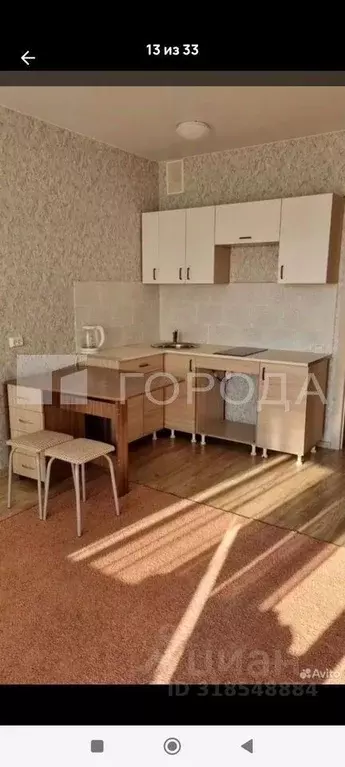 1-к кв. Новосибирская область, Новосибирск Спортивная ул., 29 (34.0 м) - Фото 1