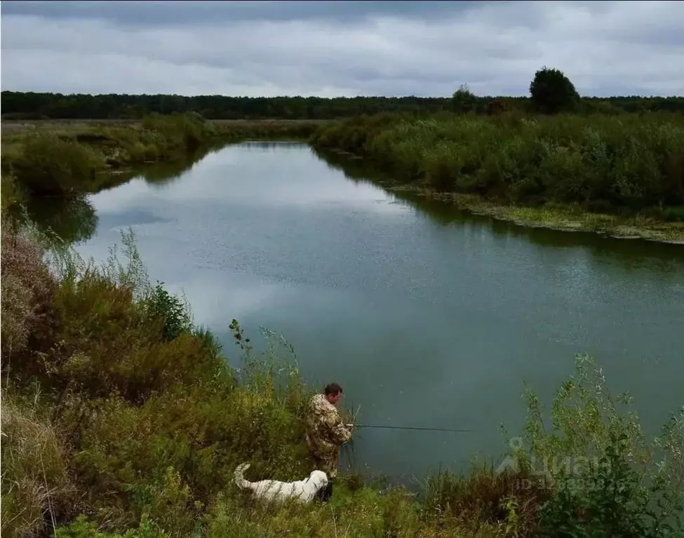 Участок в Нижегородская область, Богородский муниципальный округ, с. ... - Фото 1