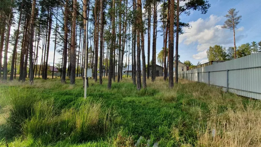 Участок в Ленинградская область, Гатчинский район, Вырица городской ... - Фото 0