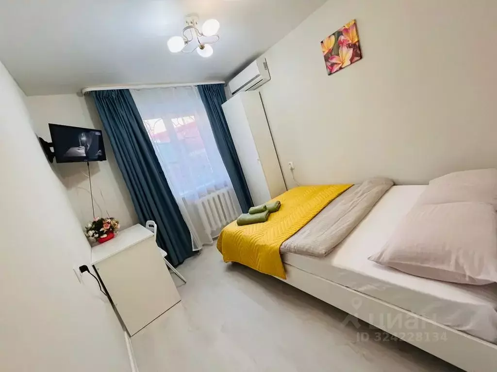 1-к кв. Приморский край, Владивосток Луговая ул., 81 (17.0 м) - Фото 1