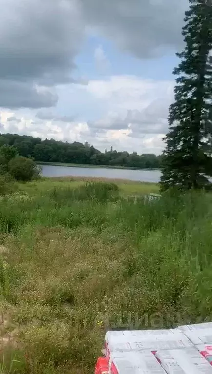 Участок в Псковская область, Плюсский муниципальный округ, д. Заозерье ... - Фото 1