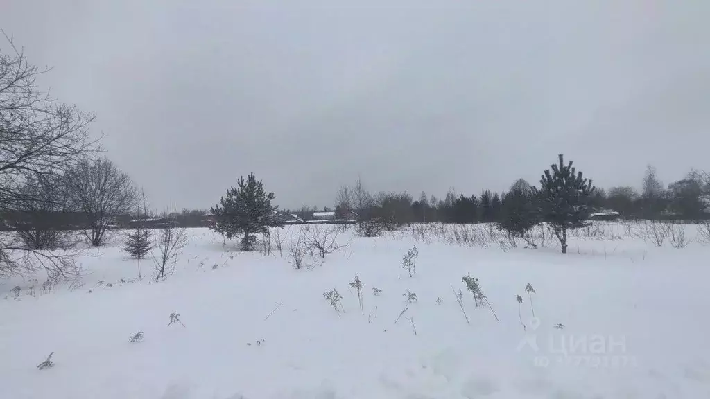 Участок в Московская область, Раменский муниципальный округ, с. ... - Фото 0