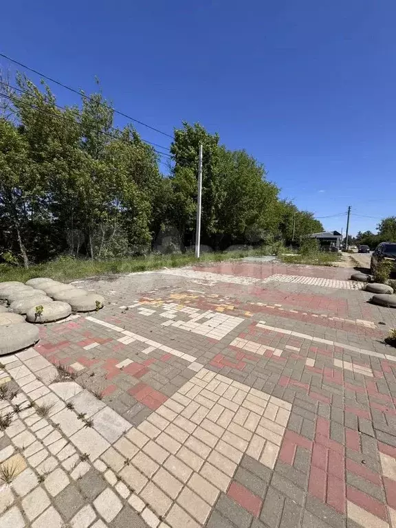 Участок 1,6 сот. (СНТ, ДНП) - Фото 0