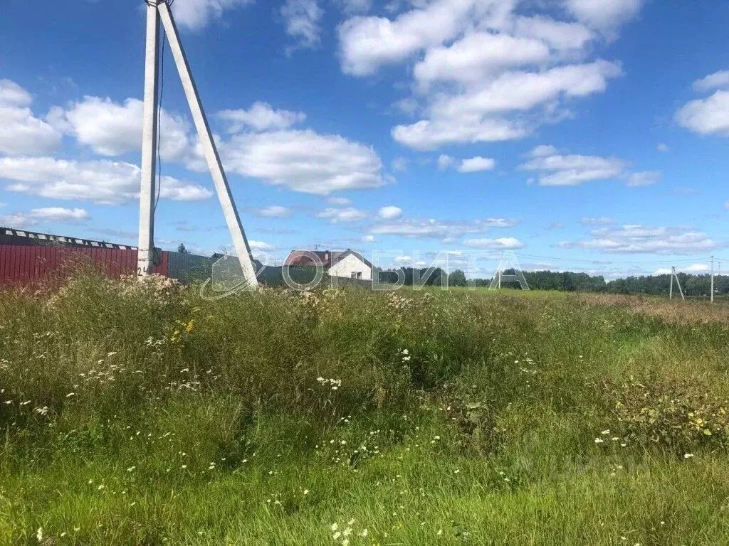 Участок в Тюменская область, с. Нижняя Тавда  (10.0 сот.) - Фото 1