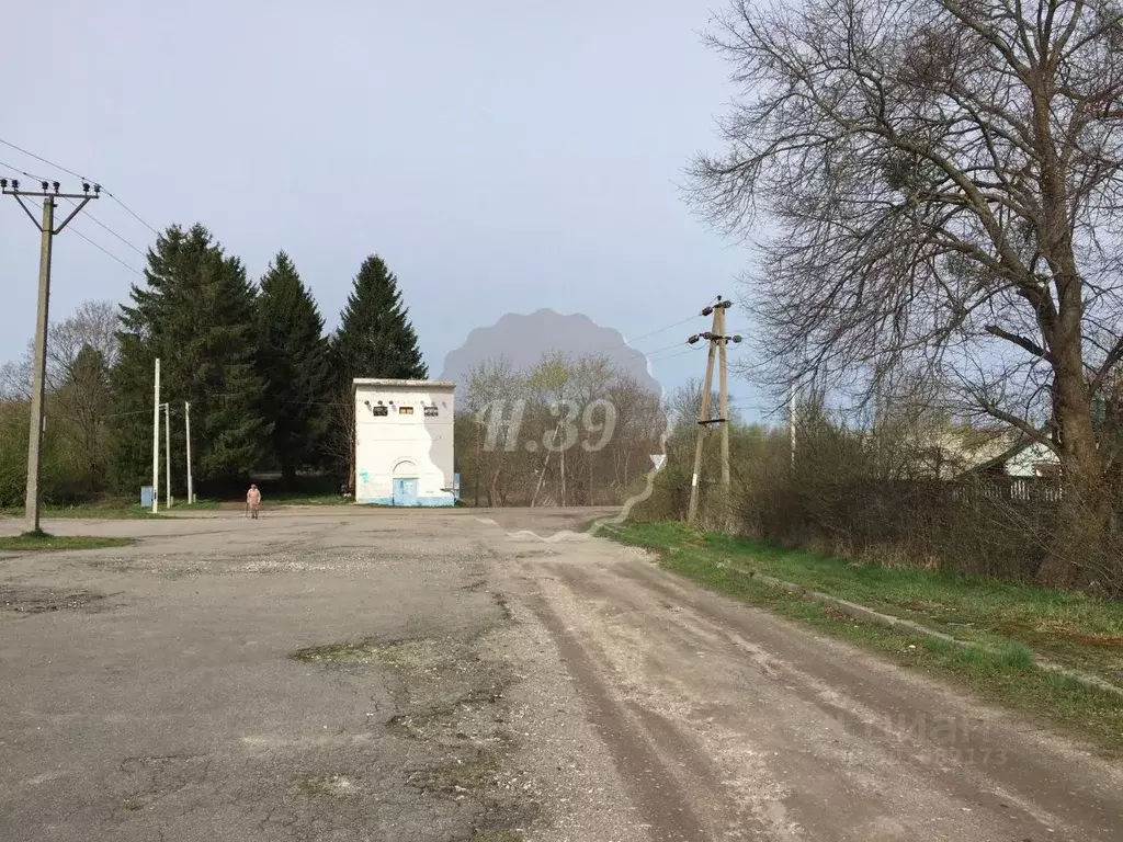 Участок в Калининградская область, Багратионовский муниципальный ... - Фото 0