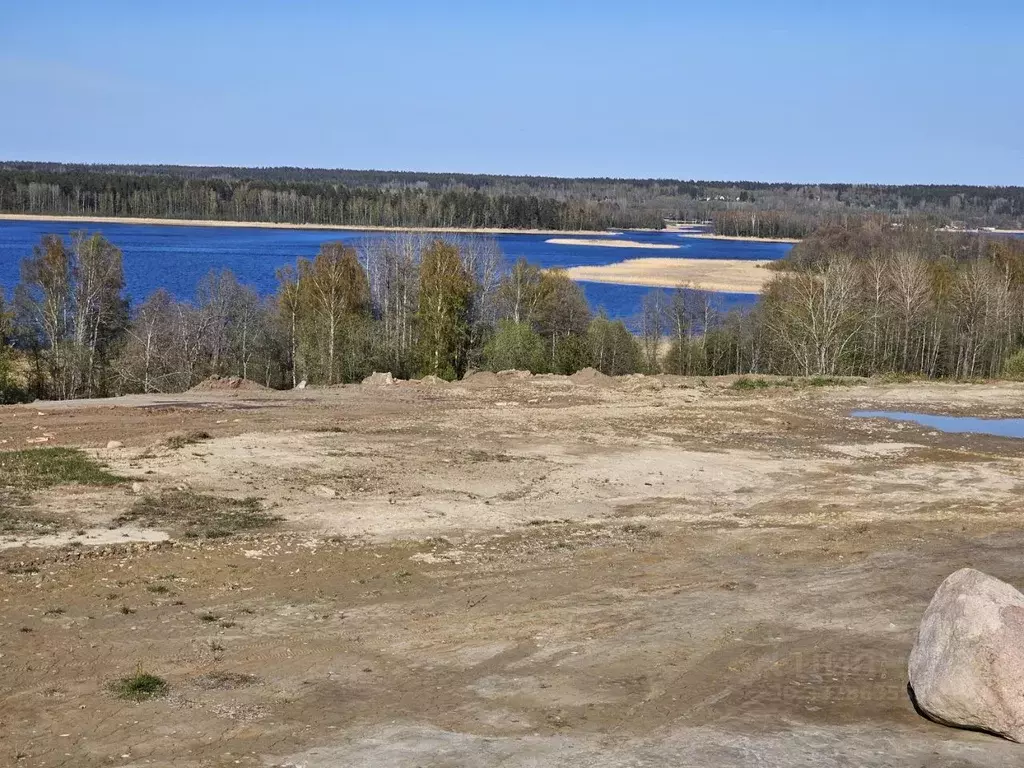 Участок в Ленинградская область, Приозерский район, Петровское с/пос  ... - Фото 2