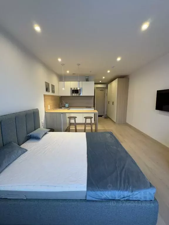 Студия Москва ул. 1-я Леонова, 18 (30.0 м) - Фото 1