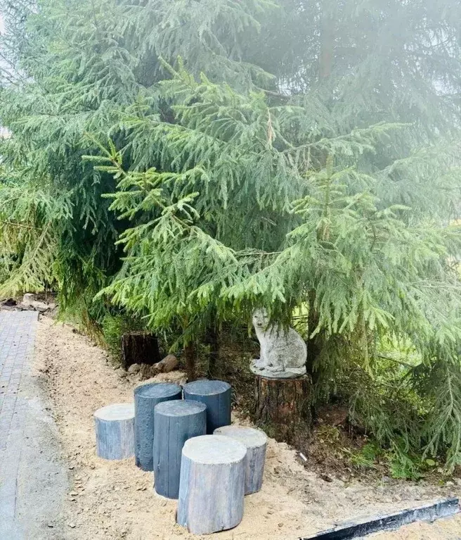 Дом в Московская область, Солнечногорск городской округ, д. Покров ул. ... - Фото 2