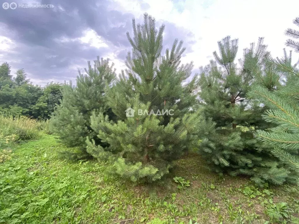 Участок в Московская область, муниципальный округ Луховицы, село ... - Фото 1