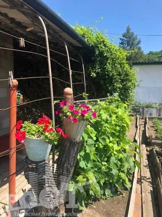 Дом в Приморский край, Надеждинский район, пос. Раздольное ул. ... - Фото 2
