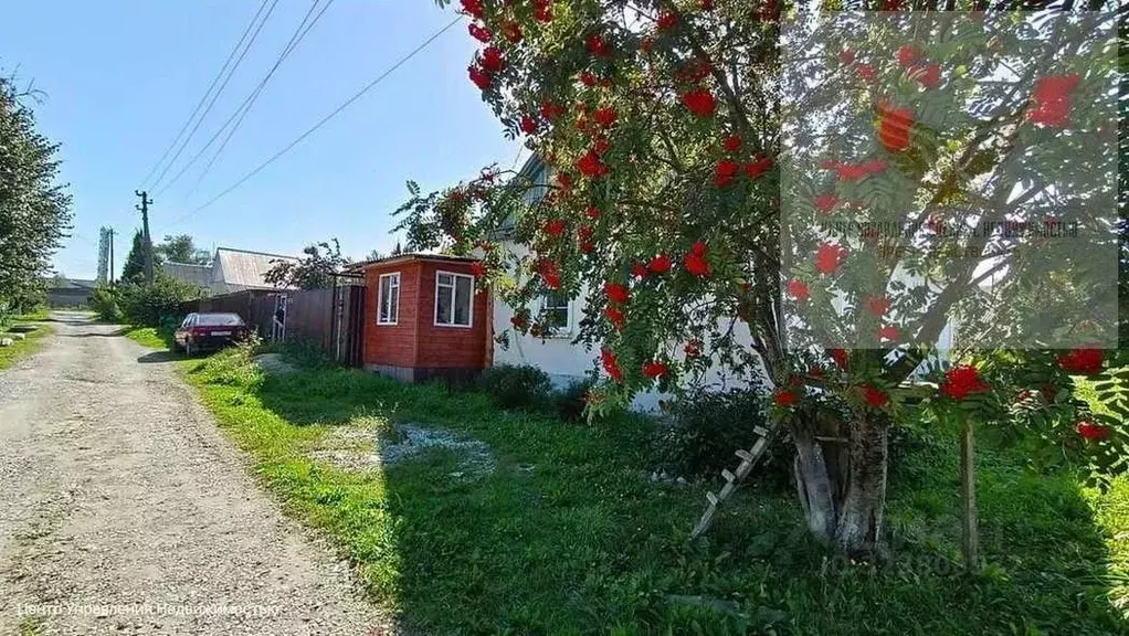 Дом в Калужская область, Сухиничи ул. Кирова, 31 (51 м) - Фото 1