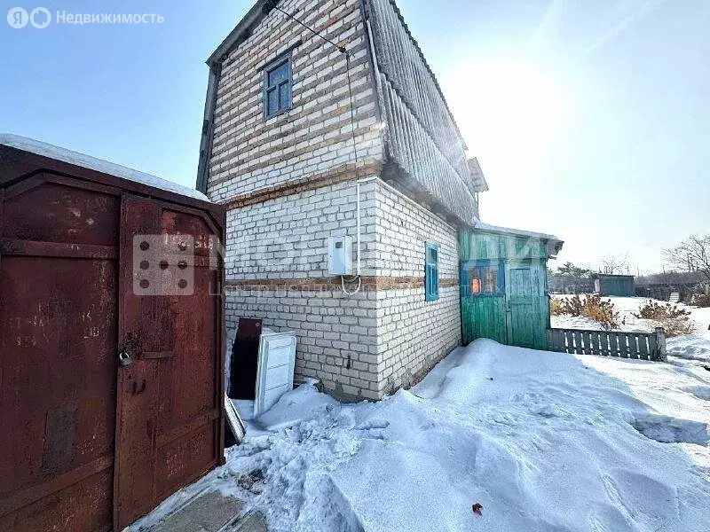 Дом в Амурская область, Серышевский муниципальный округ, СНТ ... - Фото 1