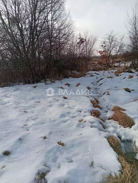 Участок в Калининградская область, Багратионовский муниципальный ... - Фото 1