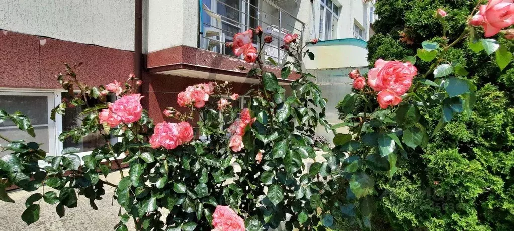 Квартира, 2 комнаты, 50 м - Фото 0