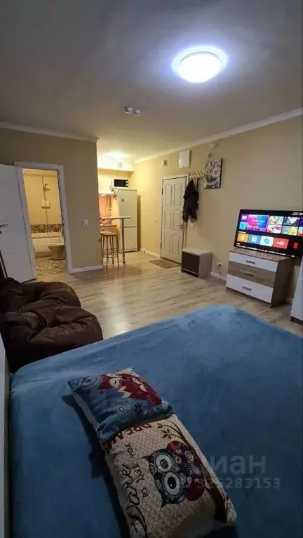 Студия Московская область, Красногорск ул. Липовой Рощи, 1к1 (28.0 м) - Фото 1