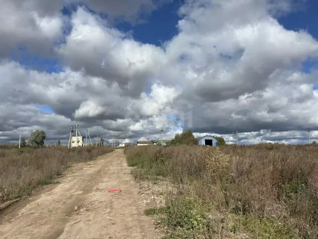 Участок в Марий Эл, Медведевский район, Руэмское с/пос, д. Крутой ... - Фото 2