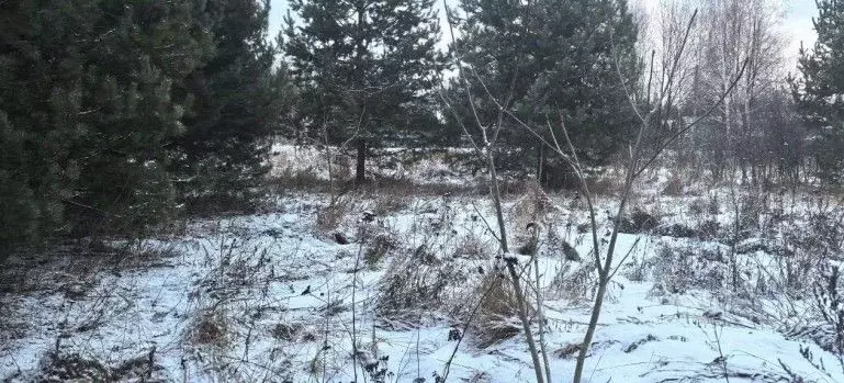 Участок в Московская область, Коломна городской округ, д. Шереметьево  ... - Фото 0