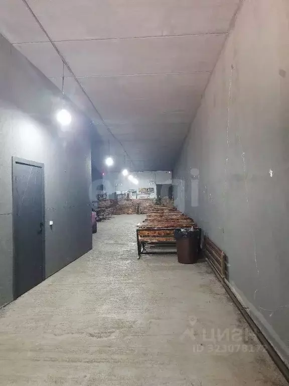 Торговая площадь в Алтай, Горно-Алтайск ул. Дубовая Роща (200 м) - Фото 1