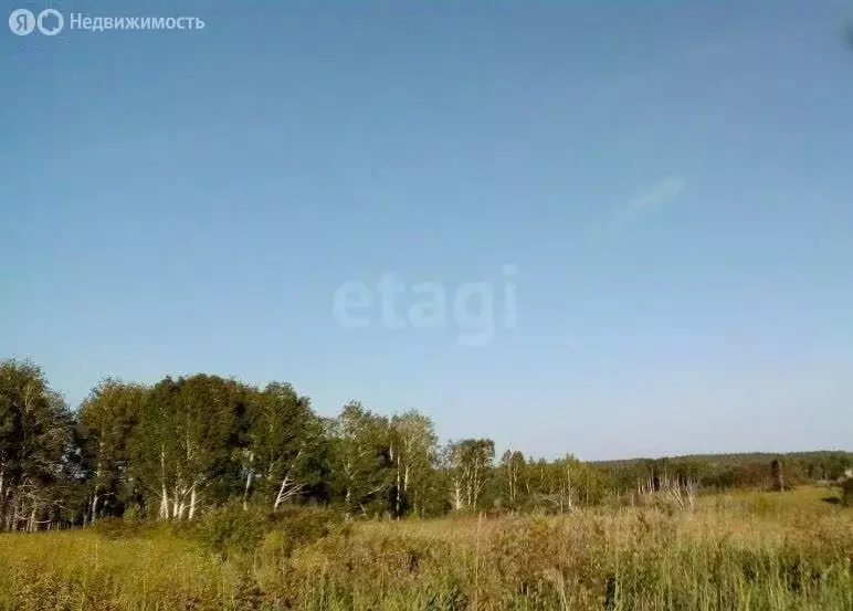 Участок в Новосибирск (600 м) - Фото 1