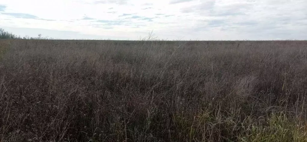 Участок в Краснодарский край, Анапа муниципальный округ, Уташ хут. ул. ... - Фото 1