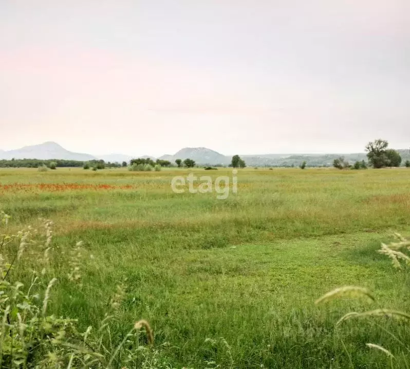 Участок в Хабаровский край, Хабаровск  (330.0 сот.) - Фото 1