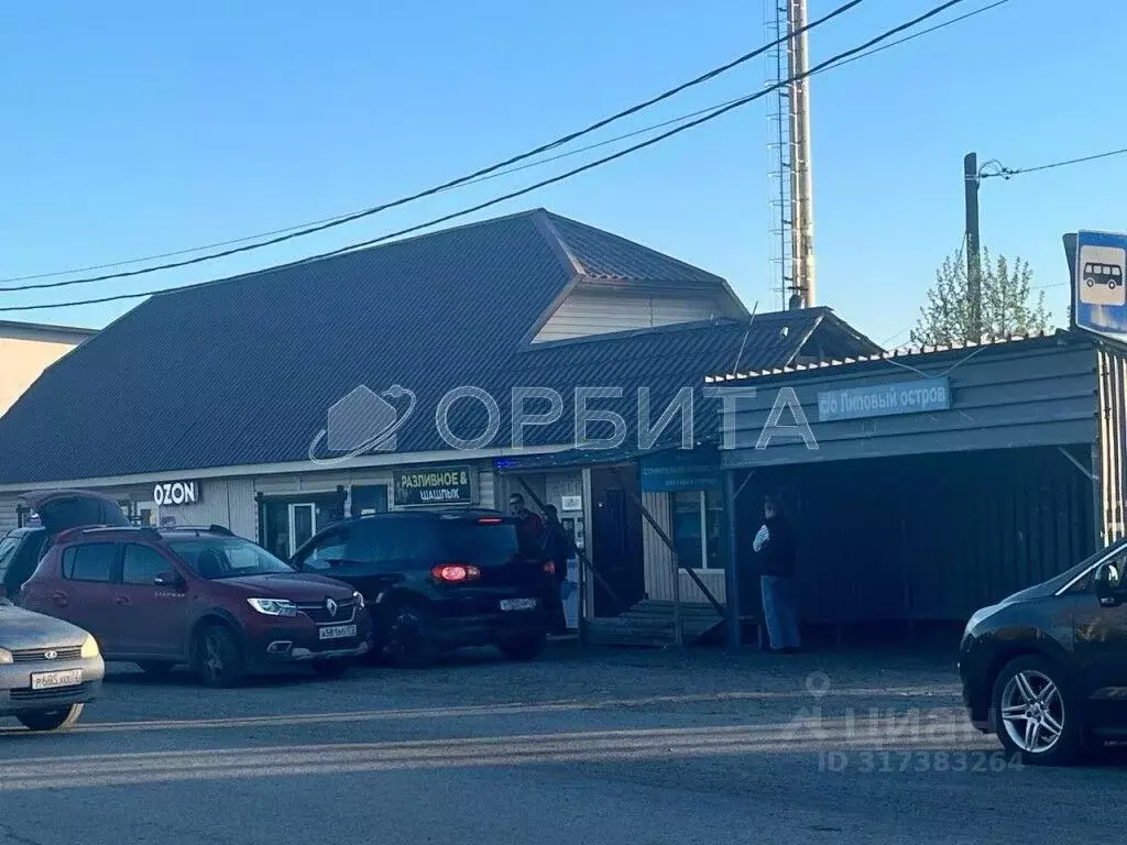 Участок в Тюменская область, Тюмень Садовое товарищество Липовый ... - Фото 0