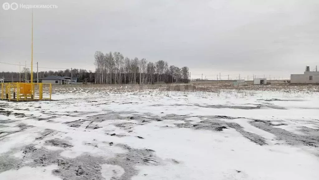 Участок в Первомайский район, село Фирсово (8 м) - Фото 2