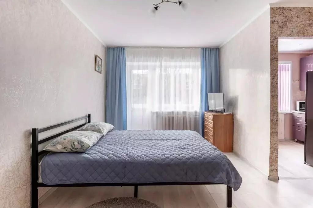 1-к кв. Псковская область, Псков Октябрьский просп., 28 (33.0 м) - Фото 1