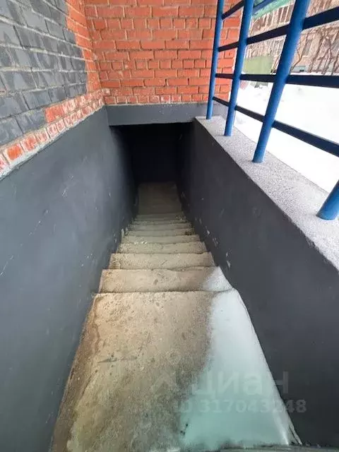 Помещение свободного назначения в Чувашия, Чебоксары бул. Анатолия ... - Фото 0