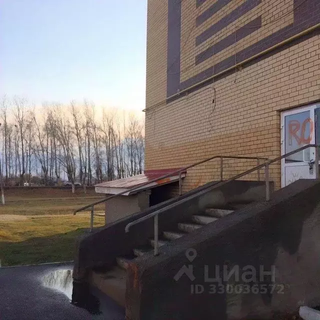 Помещение свободного назначения в Мордовия, Рузаевка Школьный бул., 1 ... - Фото 2
